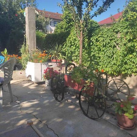 Apartman Hujić Apartment Bihac Bagian luar foto