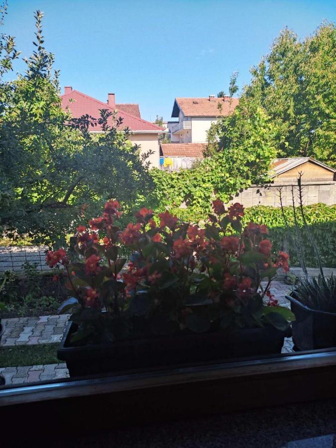 Apartman Hujić Apartment Bihac Bagian luar foto