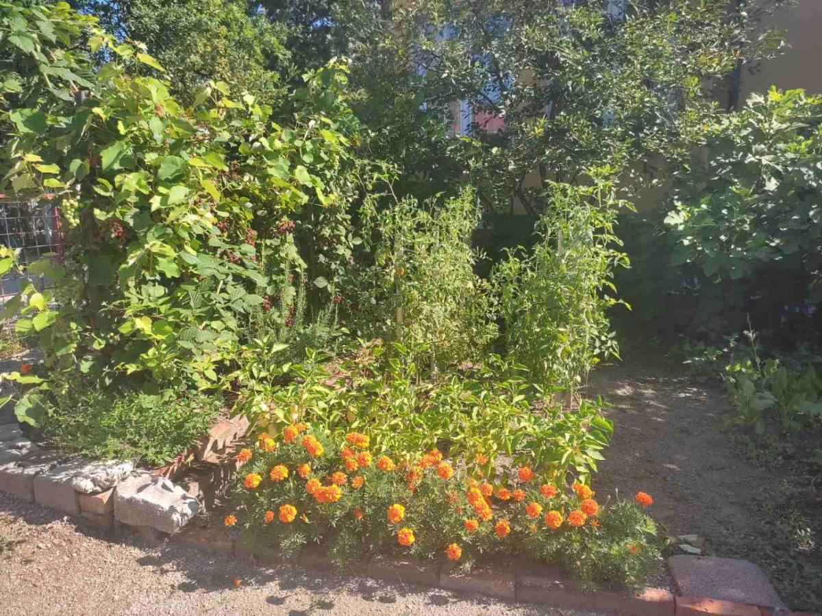 Apartman Hujić Apartment Bihac Bagian luar foto